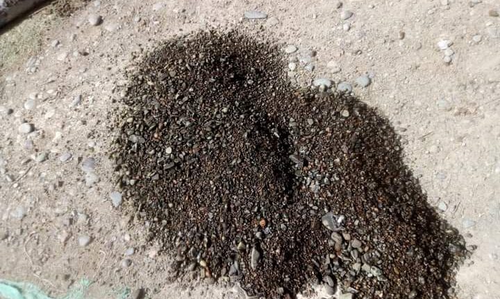 FB_IMG_1637753588867